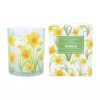 Daffodil Scented Boxed Candle