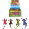 Colour Changing Lizards
