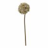 Antiqued Dried Alium Stem