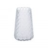 Clear Scale Glass Vase