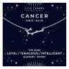 Cancer Silver Zodiac Constellation Necklace