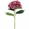 Marbled Pink Giant Hydrangea Stem