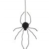 Spider Laying in Wait Hanging