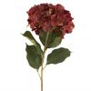 Antique Burgundy Hydrangea