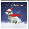 Xmas super-hound At Christmas