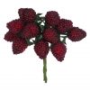 Raspberry Bunch Pick