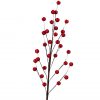 Red Berry Spray