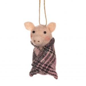 Pig in Tartan Blanket