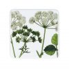 Porcelain Coaster  - Spring Hedgerow