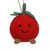 Mixed Wool Hanging Dec 10cm - Tomato
