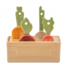 Vegetable Measuring Spoons