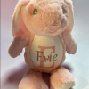 Sublimation Pink Rabbit Plush Toy