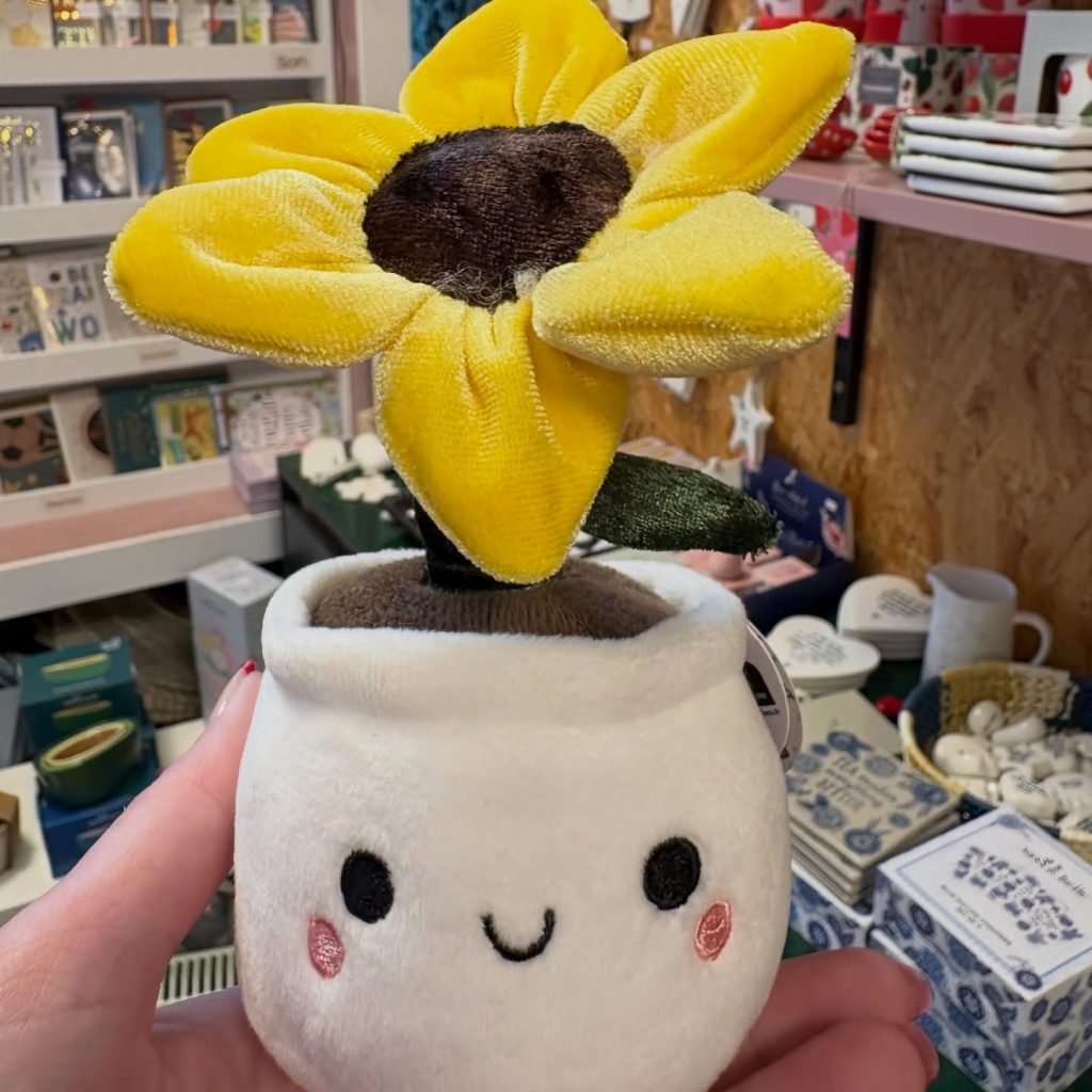 Instagram post from thegoodhomegifts. This post is in position 1.